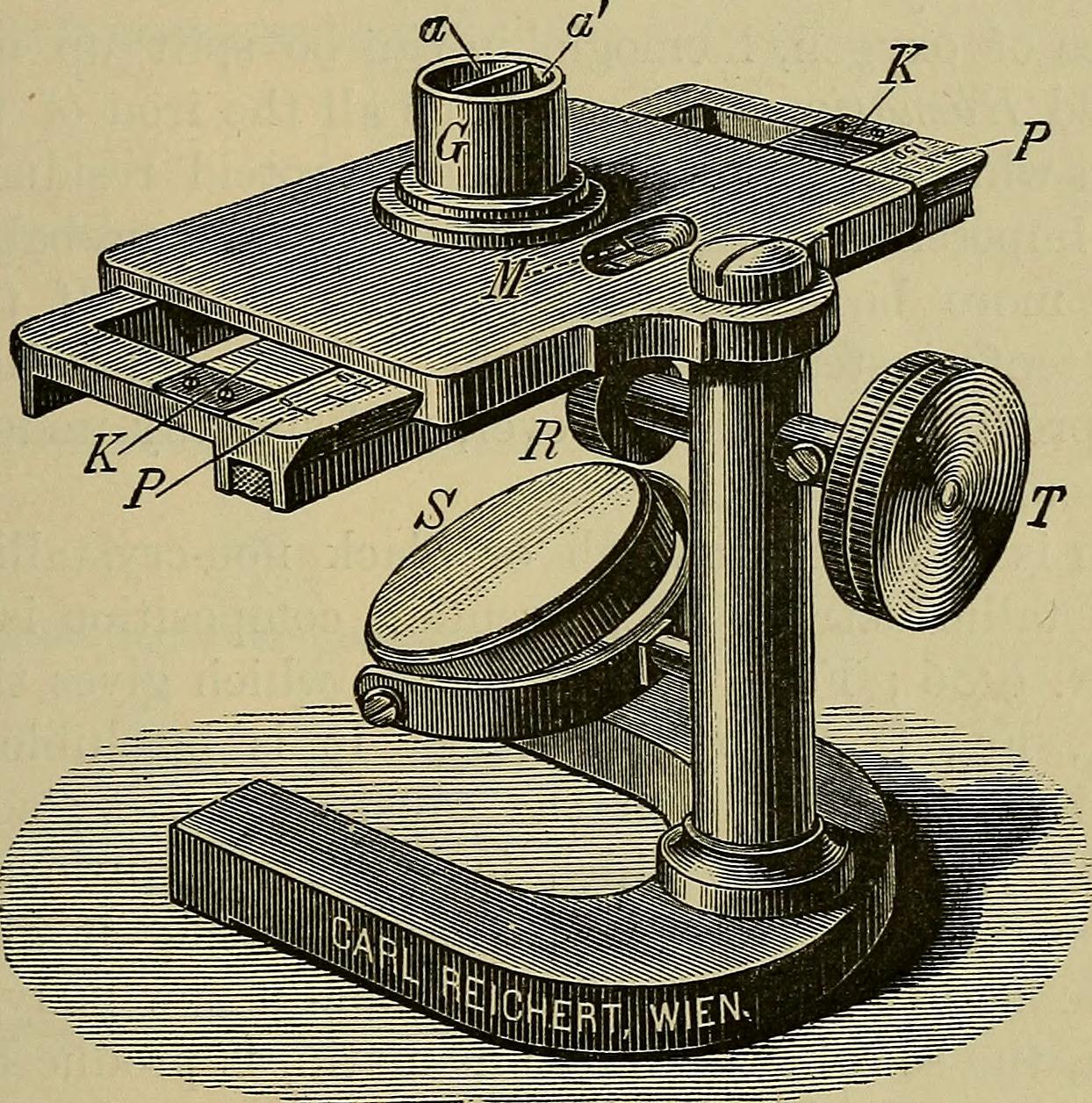 moving head spot 7r